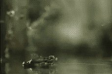 file_85176834