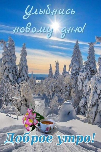 IMG-20251203-WA0002