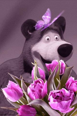 A6da77