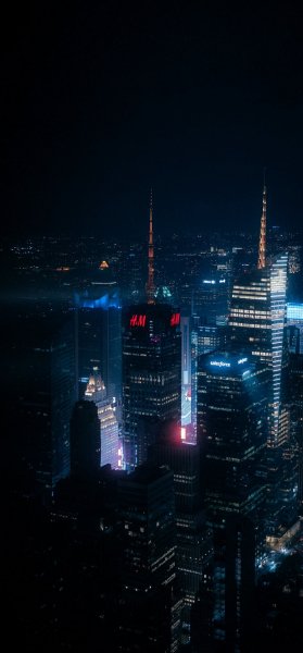 file_101773306