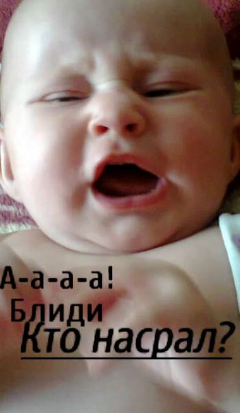 gtBgt0047 001