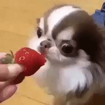 gif 1479142881