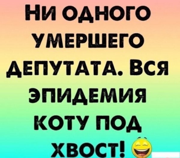 Screenshot 20220203-043514-1