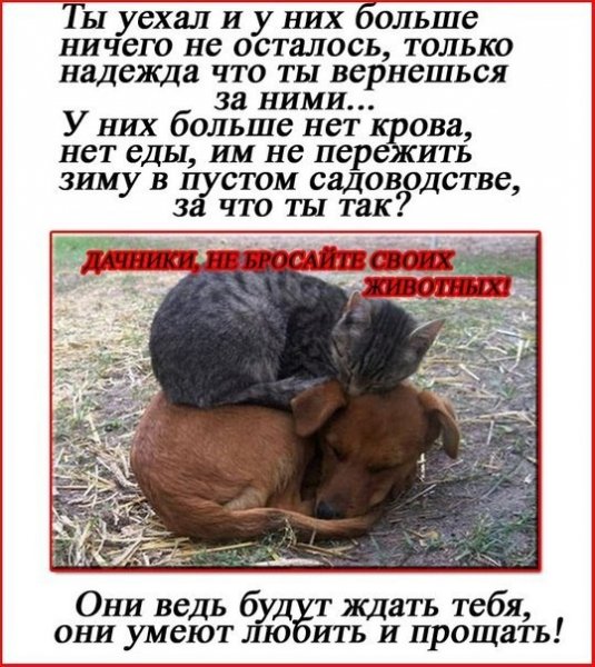 file_74473045