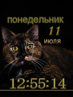Котяра