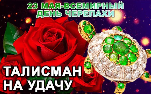 Анимированная открытка с днем черепахи