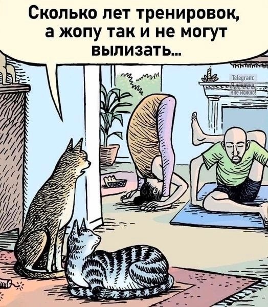 CUl9EfS877OlaPiHvpxn28