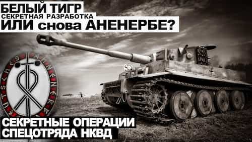 13. Дело номер 013