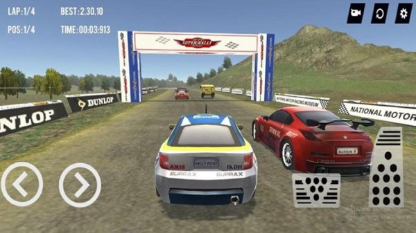 Super Rally 3D (No Ads) v.3.2.4