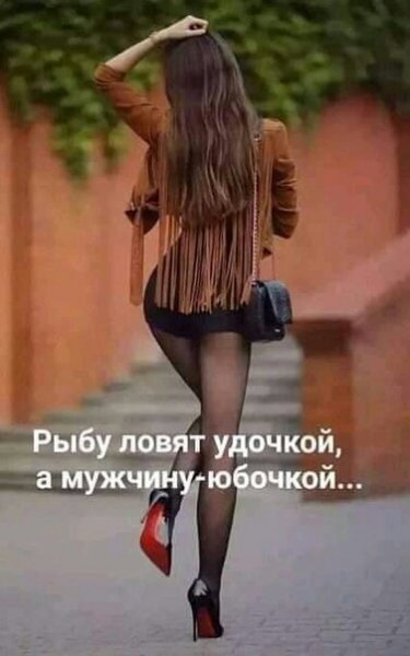 file_88837026