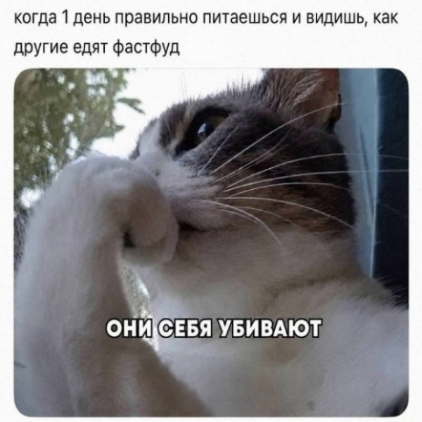 file_103322423