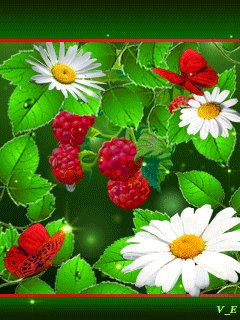 file_62986255
