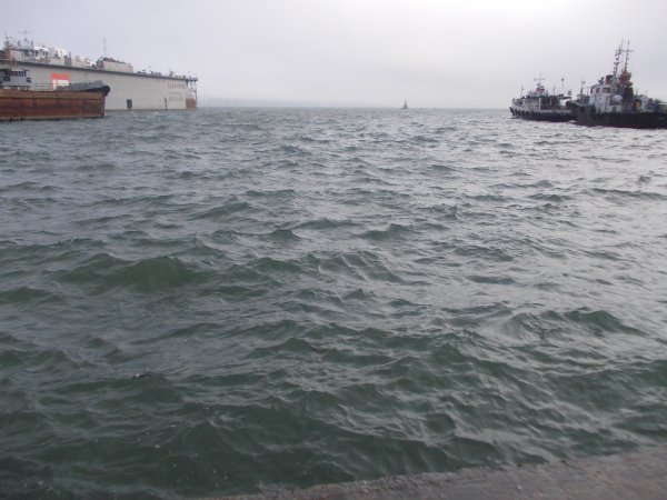 DSCN0868