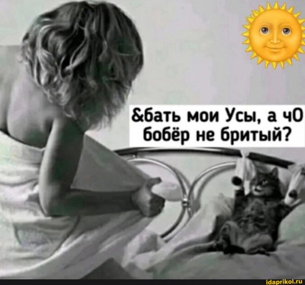 Fdd4f25e1e45f8c862a4e3c0ab89eefda2966ccb53cc64aea6 1