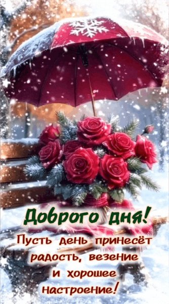 IMG 20260215 004152