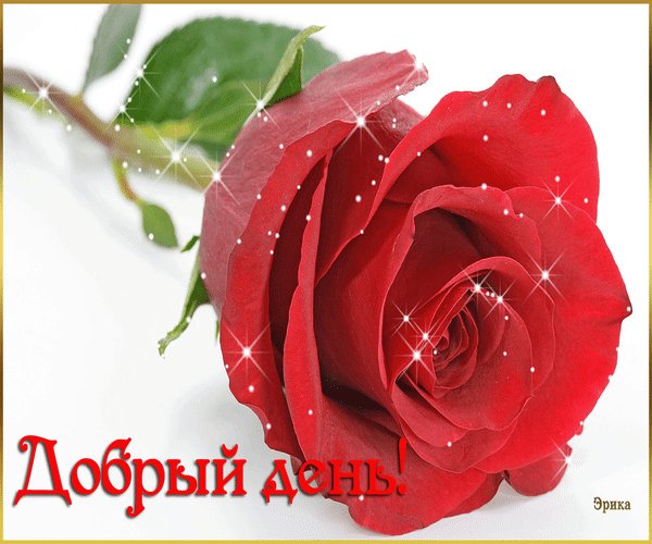 Анимированная открытка добрый день добрый