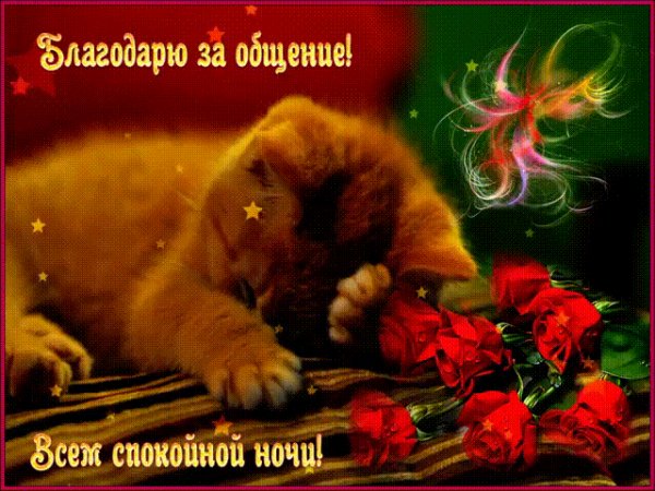 IMG 20181202 621095