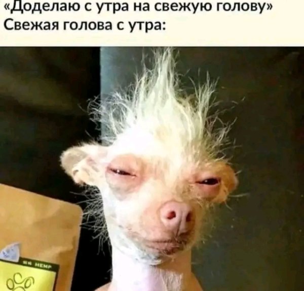 file_103330409