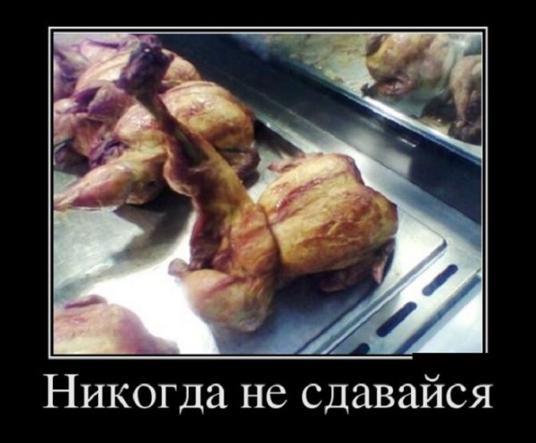 Никогда не сдавайся