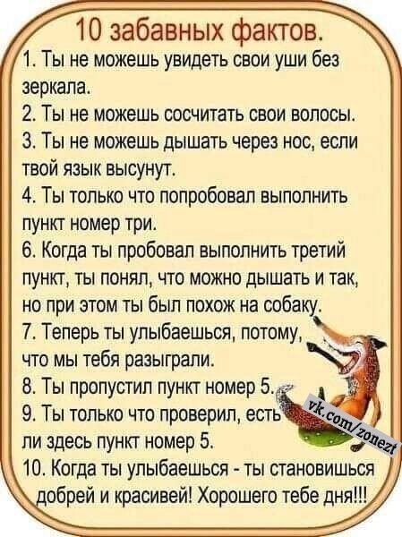file_100126053