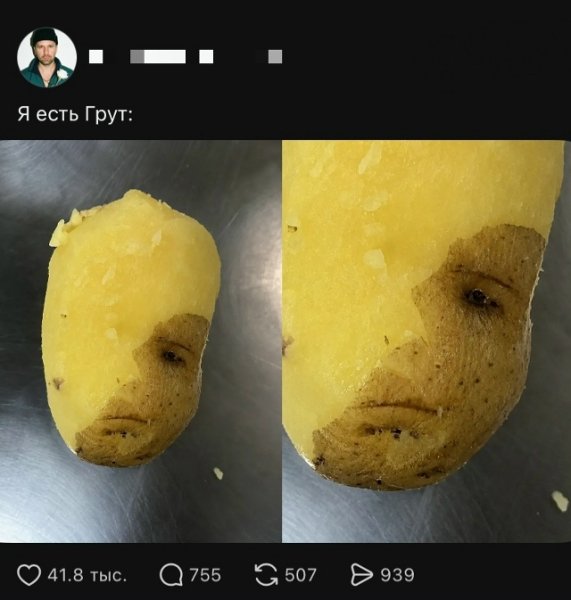 file_103234491