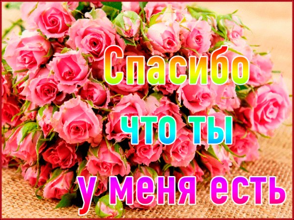 yarkaya-gif-otkritka-so-slovami-spasibo-chto-ti-est.orig