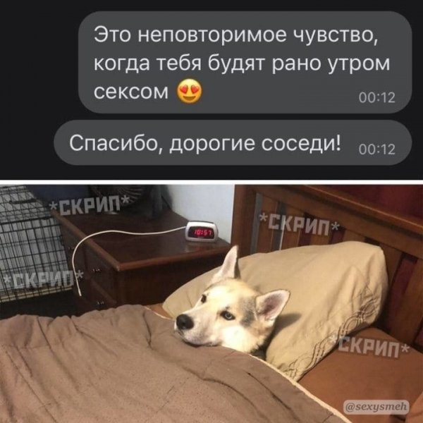 IMG 20260911 165056 906