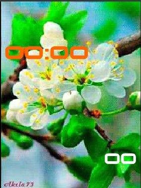 10 Когда яблони цветут анимация