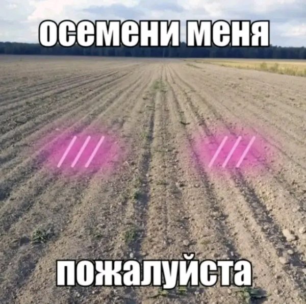file_103330559