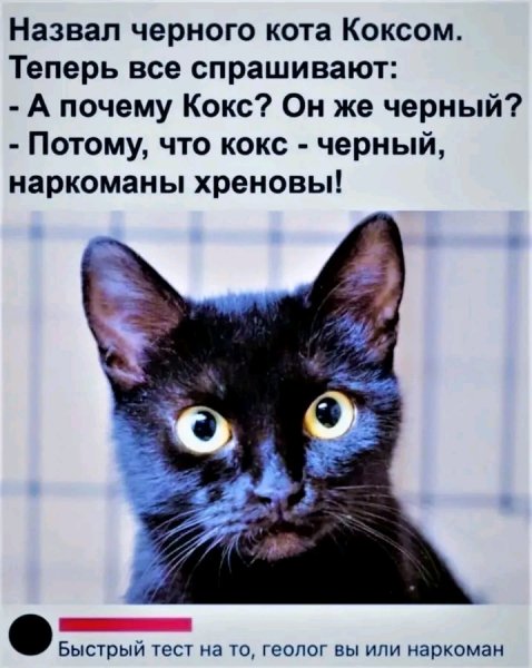 file_103268719