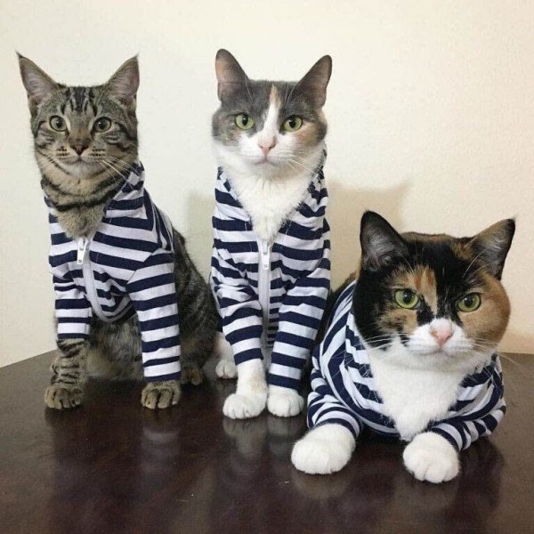 911844