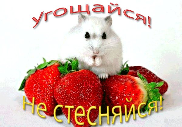 Угощайся !
