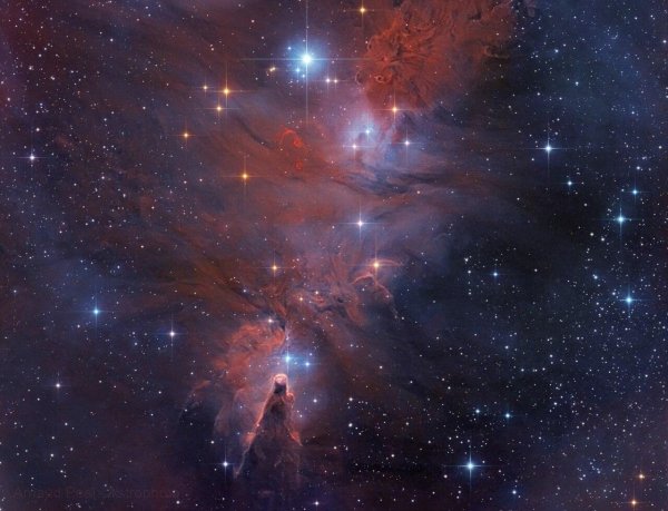 NGC 2264