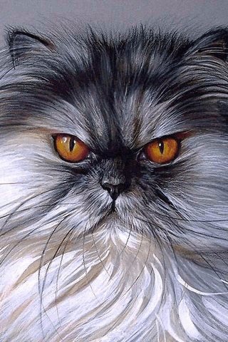 file_75587362