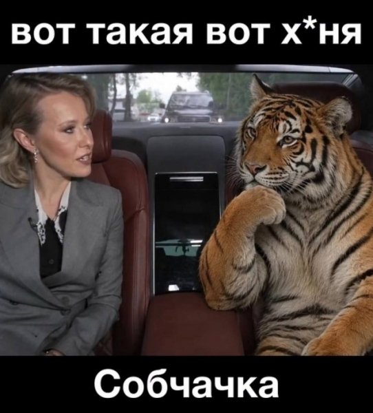 file_103303000