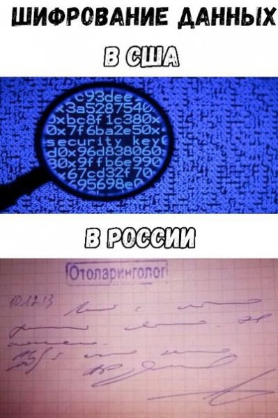 file_103277899