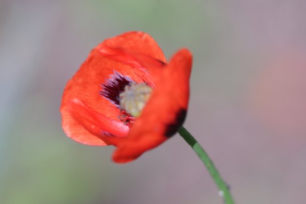 16.05.2024