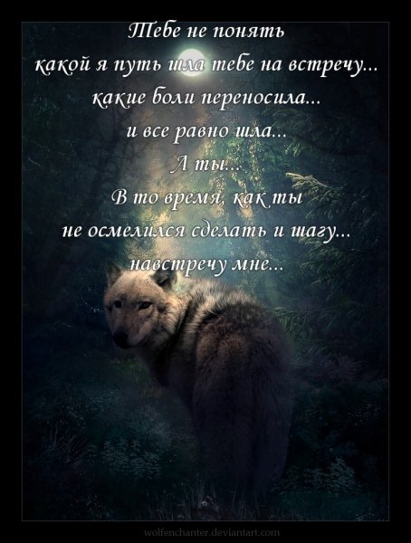 image (59)