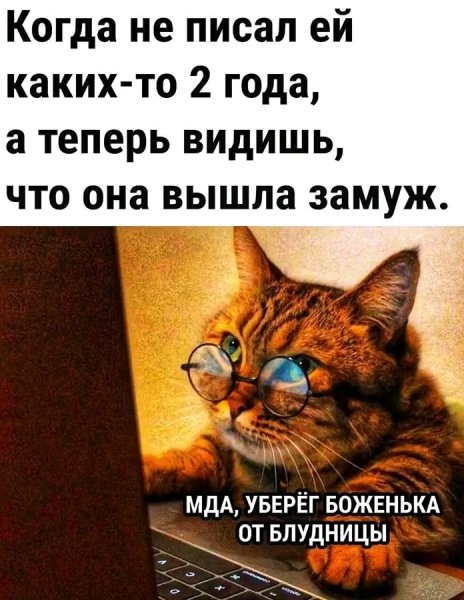 file_103380044