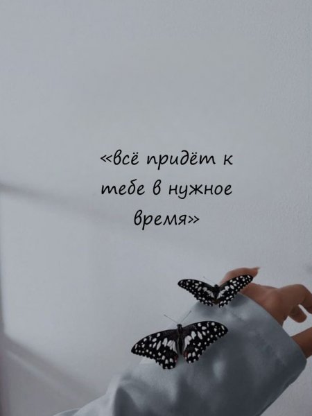 Cdf1bf2a1a40db1113ac1dd896d3d867