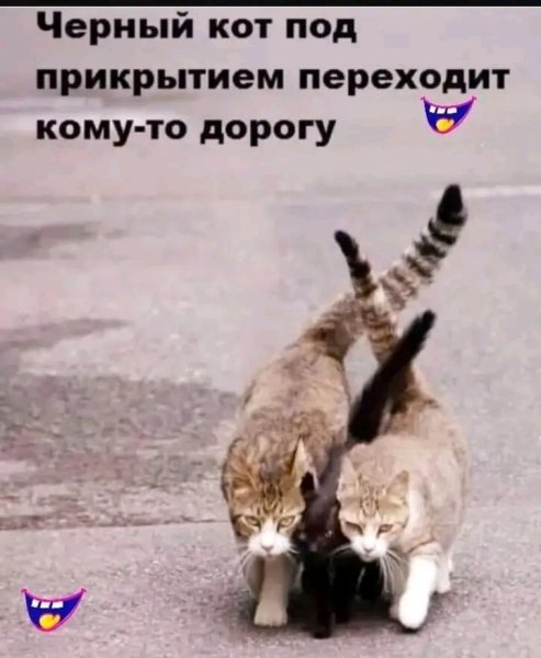 file_103313585