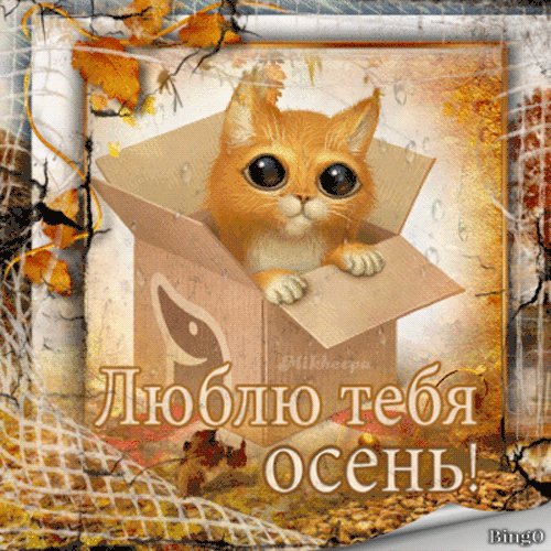 file_87408105