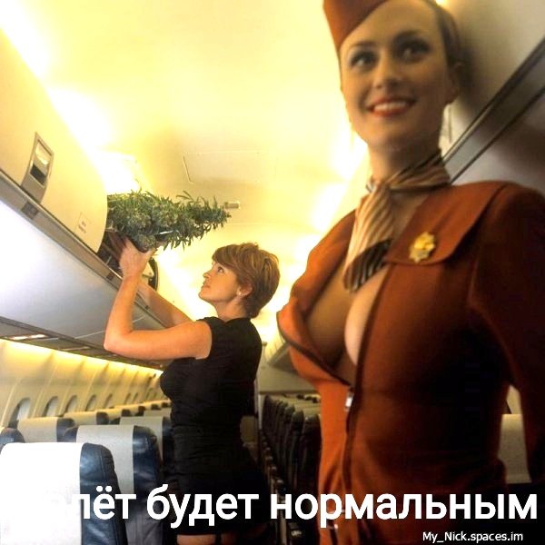 file_101187878