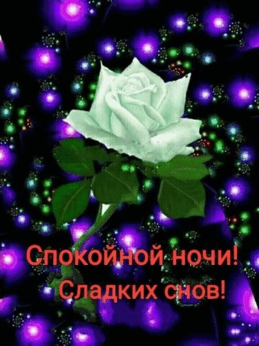 file_81778035