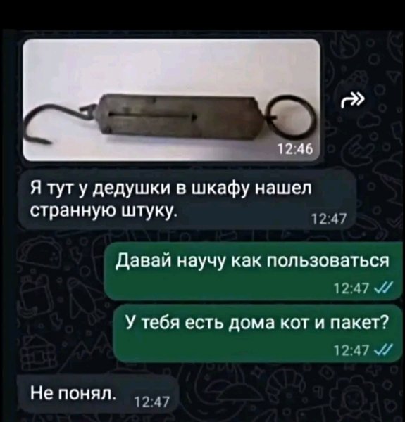 file_103248875