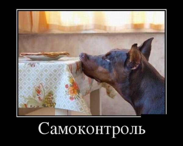 Самоконтроль