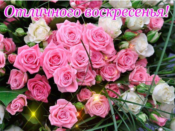 file_74100658