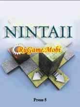 NintaiiPuzzleBlocks3D s40v3a-N6280