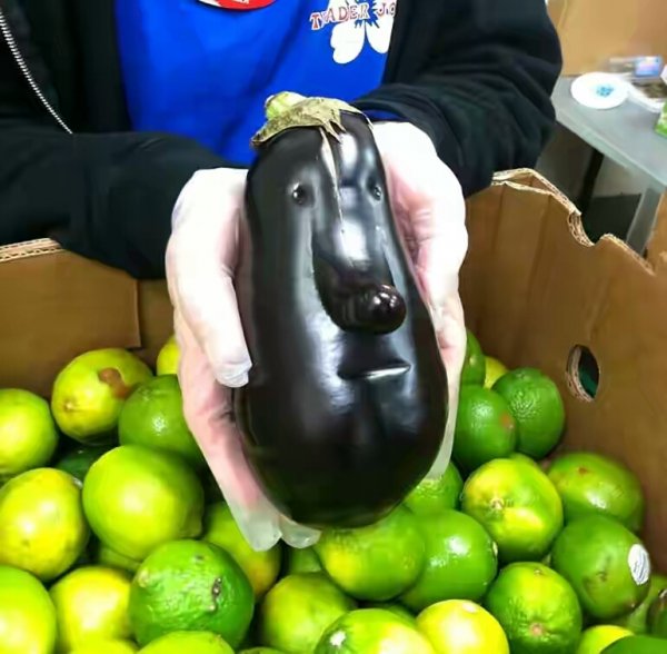 fruit7