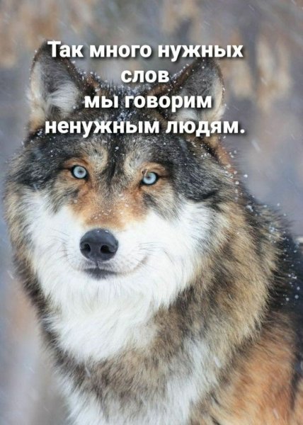 Bd3c651f17e55a34c5f6134c81788d6a